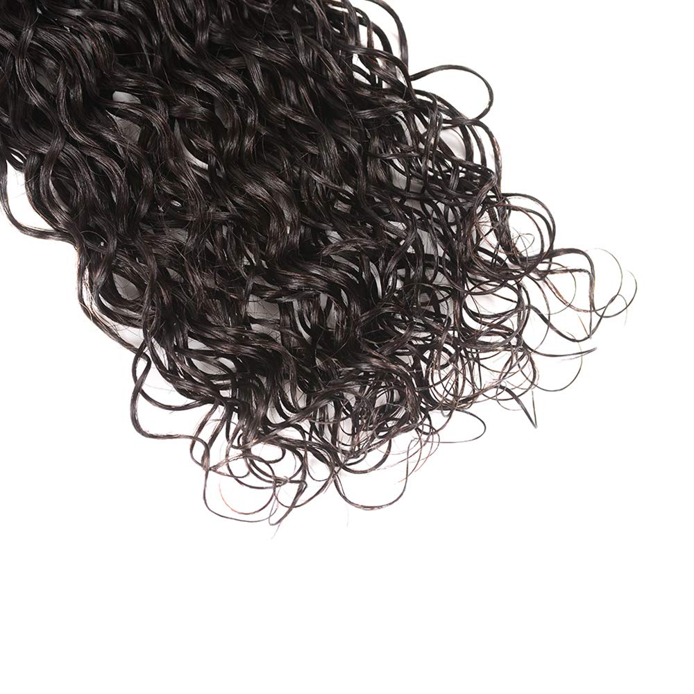 Everyday Collection Bundles WATER WAVE / PINEAPPLE CURL 10" to 20"